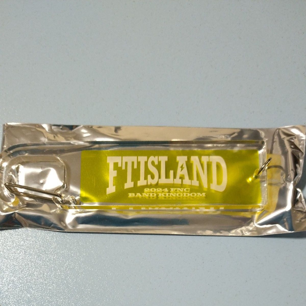 FNC BAND KINGDOM 2024  グッズ　 ランダムアクリルカラビナ   FTISLAND