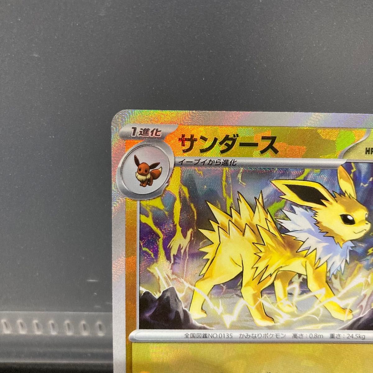 マスターボール ミラー サンダース R マスボ ポケモンカード マスターボール ミラー サンダース R マスボ ポケモンカード