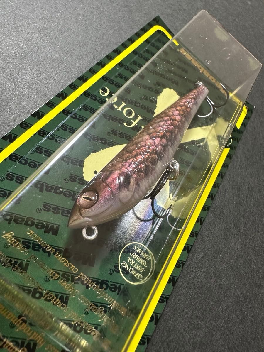 福袋2025】干支カラー SP-C ドッグエックス/ DOG-X Classic 福袋2025】干支カラー SP-C ドッグエックス/ DOG-X Classic
