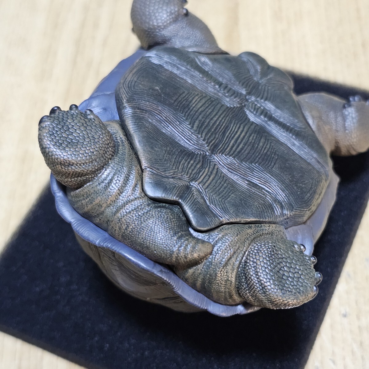 動物の惑星 ガラパゴスゾウガメ(セロアスール亜種) +BOX封入 動物の惑星 ガラパゴスゾウガメ(セロアスール亜種) +BOX封入