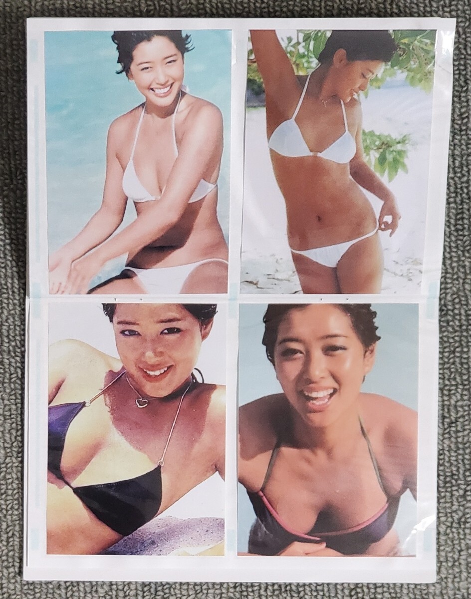 夏目雅子さんの写真(Lサイズ)40枚とアルバム(写真)|売買され 夏目雅子さんの写真(Lサイズ)40枚とアルバム(写真)|売買され