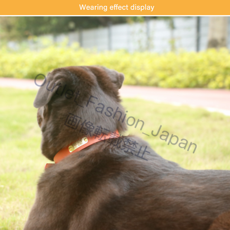 (Mサイズ)犬 名入れ首輪 本革首輪 犬用 名前入り 本革 革 レザー おしゃれ カスタマイズ 柔らかい おすすめ かわいい 迷子札 ネームタグ