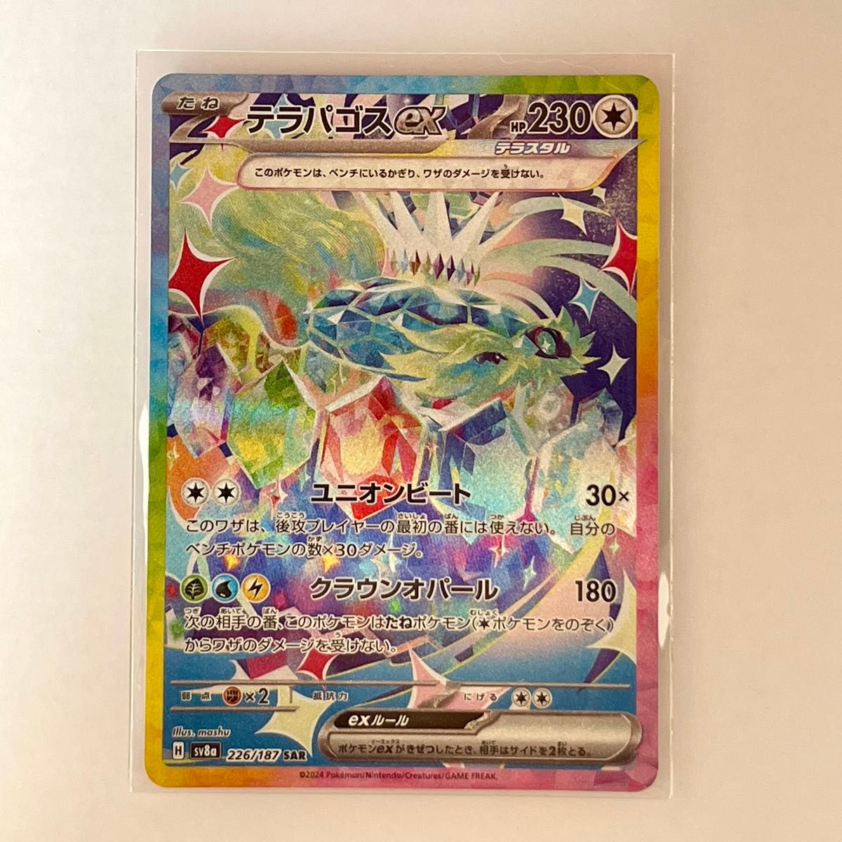 テラパゴスex SAR SV8a 226/187 テラスタルフェスex ポケモン テラパゴスex SAR SV8a 226/187 テラスタルフェスex ポケモン