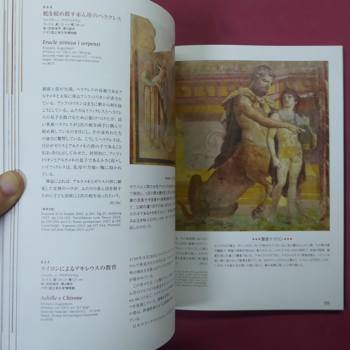 ヤフオク Z11図録 世界遺産 ポンペイの壁画展 16 17年