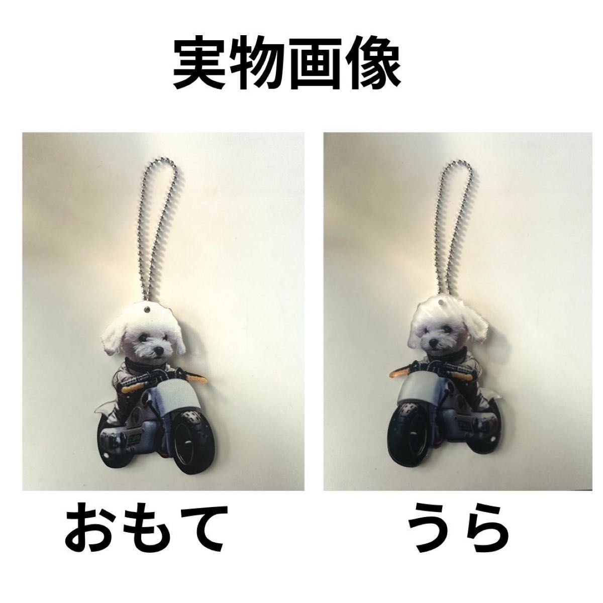 キーホルダー オーナメント 車 バッグ アクリル 犬 トイプー キーホルダー オーナメント 車 バッグ アクリル 犬 トイプー