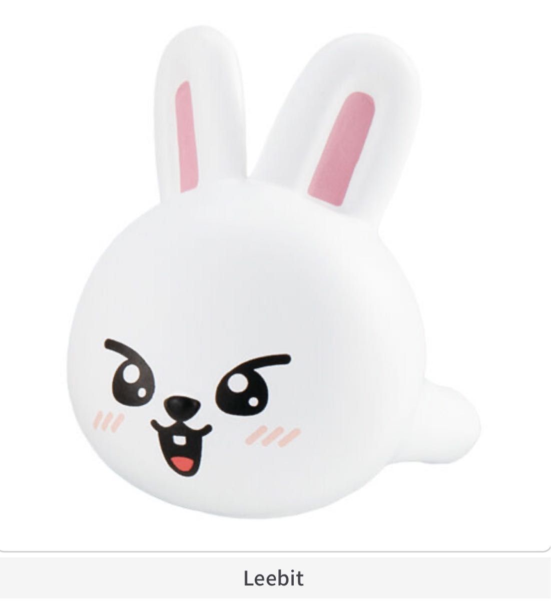 STRAY KIDS SKZOO リービット Leebit リービット - その他 STRAY KIDS SKZOO リービット Leebit リービット - その他