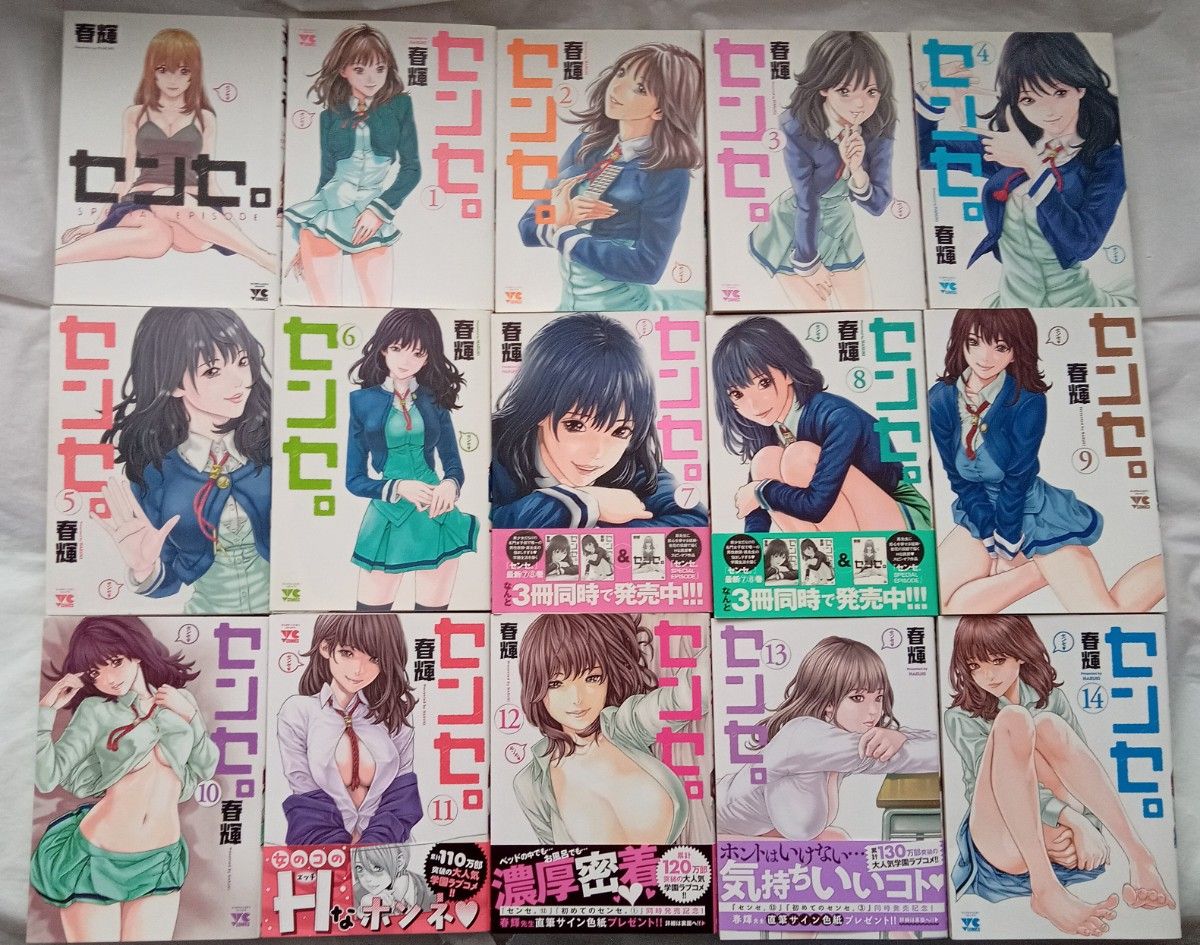 センセ。1-14巻+スペシャルエピソード 計15冊セット センセ。1-14巻+スペシャルエピソード 計15冊セット センセ