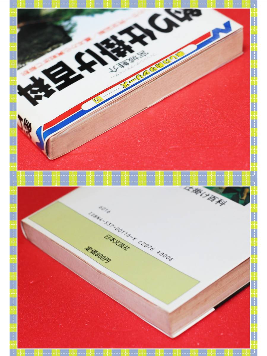 ●希少：釣り仕掛け百科―オールカラー完全図解 / 基本から実戦まで解説　　宮城 鮭介 　 日本文芸社　　i47　_画像2