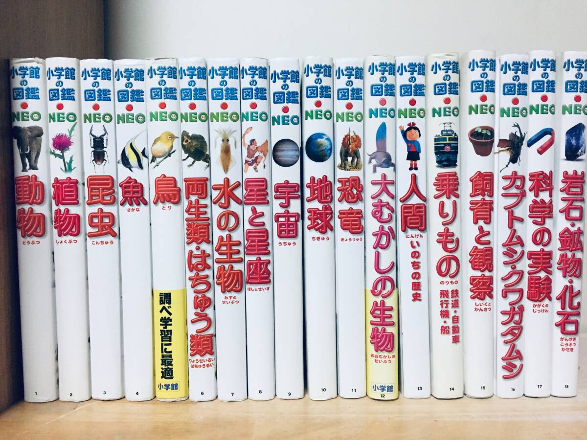 8092円 ステッカー版小学館の絵本 ウルトラ怪獣(ウルトラマン 8092円 ステッカー版小学館の絵本 ウルトラ怪獣(ウルトラマン