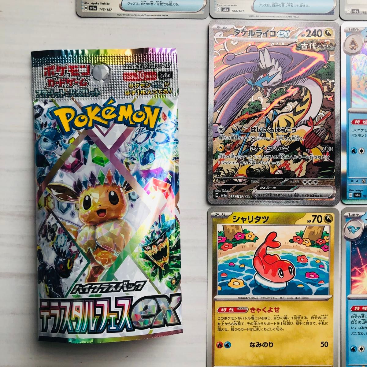 ポケモンカード ポケカ SAR タケルライコEX 222/187 テラスタル ポケモンカード ポケカ SAR タケルライコEX 222/187 テラスタル