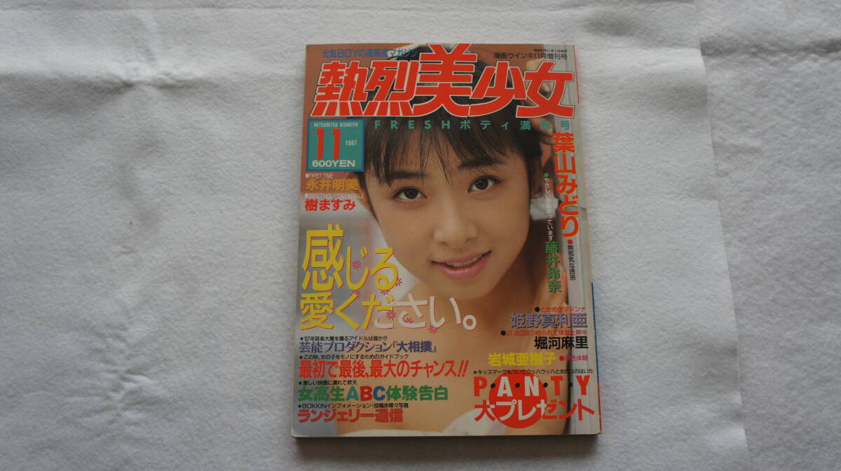 最新人気 ☆熱烈美少女 1987年11月 漫画ウインキ11号増刊号☆ その他