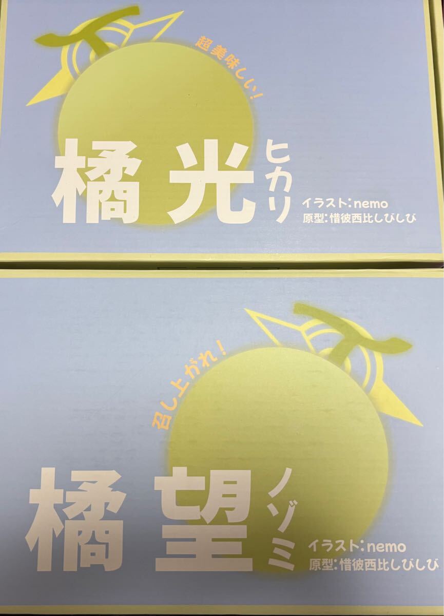 塗装済み完成品 橘ノゾミ 橘ヒカリ 西比猫カフェ ブルー 塗装済み完成品 橘ノゾミ 橘ヒカリ 西比猫カフェ ブルー