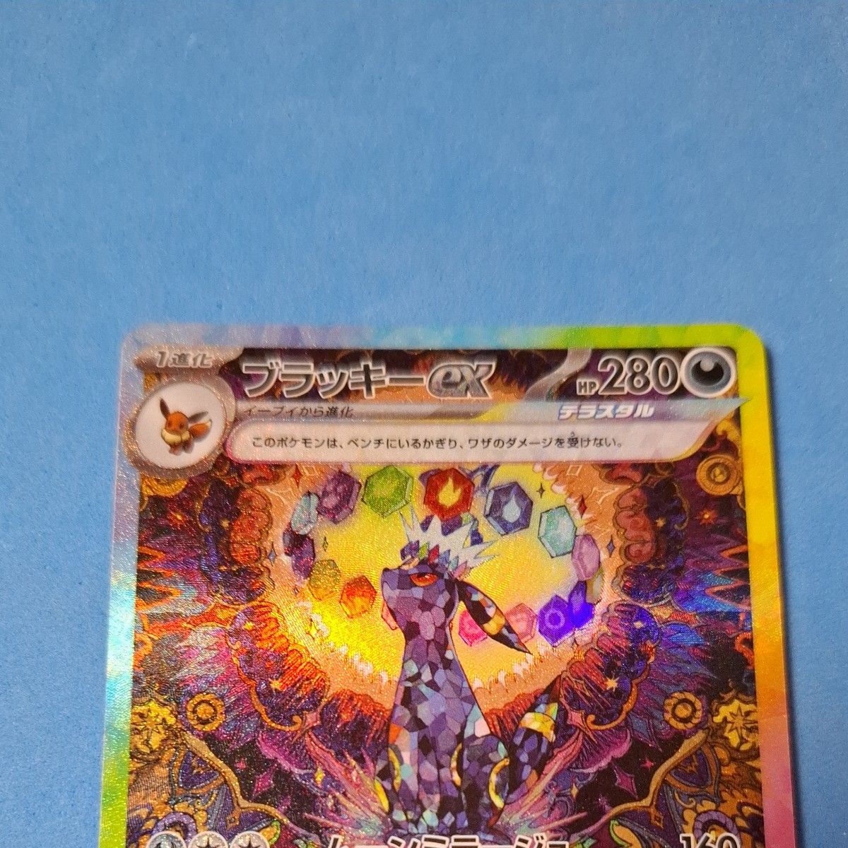 ポケモンカード ブラッキーex SAR ブラッキー マスターボール ポケモンカード ブラッキーex SAR ブラッキー マスターボール