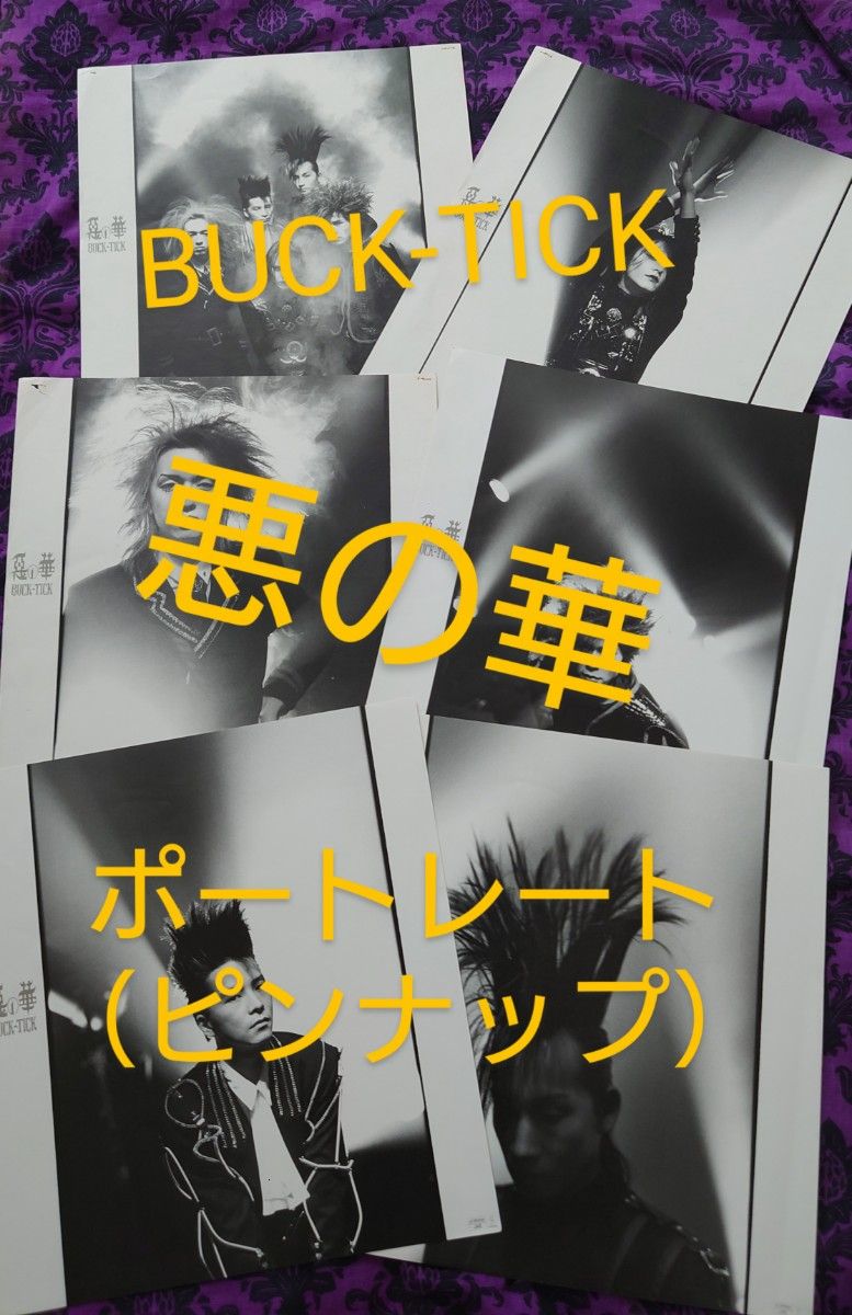 BUCK-TICK 悪の華 パンフレット ミニポスター 切り抜き BUCK-TICK 悪の華 パンフレット ミニポスター 切り抜き|Yahoo