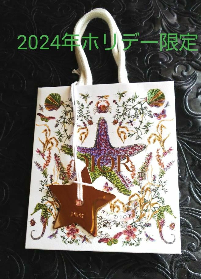 今年も綺麗 ≪Dior≫ 2024ホリデー限定紙袋／ ショップ袋