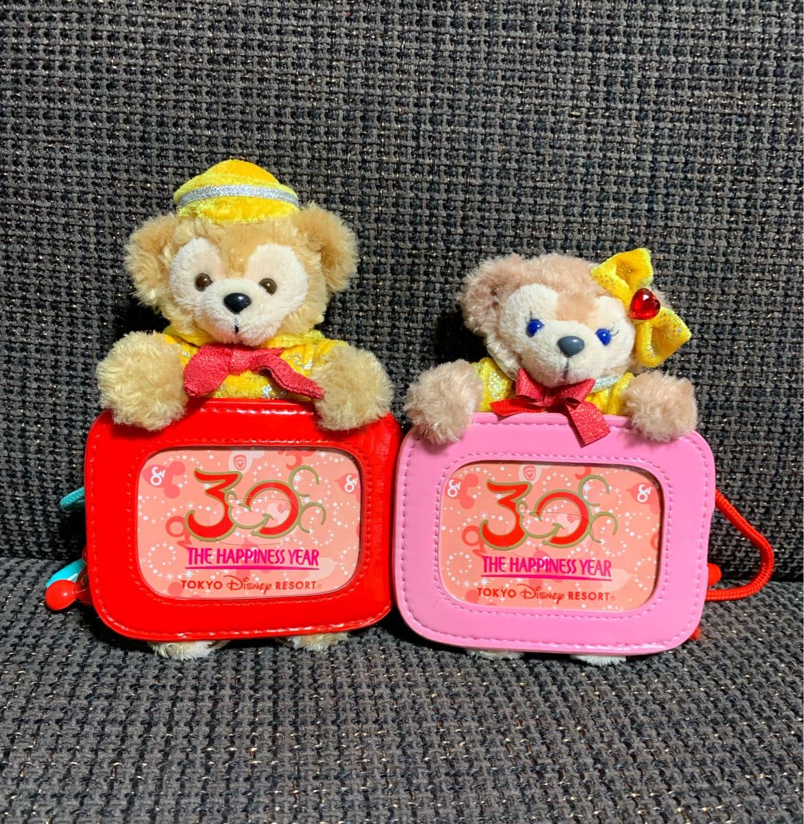 希少 美品 ディズニー 30周年 ダッフィー シェリーメイ パスケース レア 希少 美品 ディズニー 30周年 ダッフィー シェリーメイ パス
