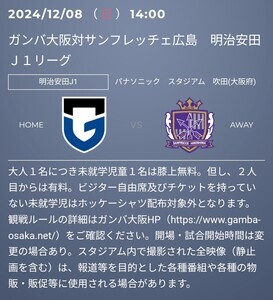 ガンバ大阪 vs サンフレッチェ広島　カテゴリー1　A3ブロック　１枚