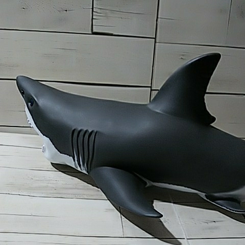 [same sofvi total length approximately 42cm] figure ... Shark 