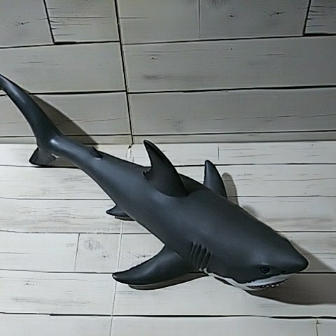 [same sofvi total length approximately 42cm] figure ... Shark 