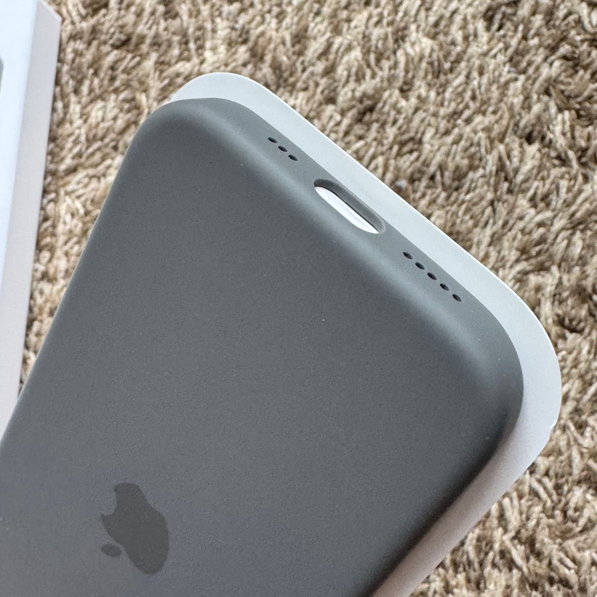 Apple純正 iPhone 16 Proシリコーンケース MagSafe対応 ストーン Apple純正 iPhone 16 Proシリコーンケース MagSafe対応 ストーン