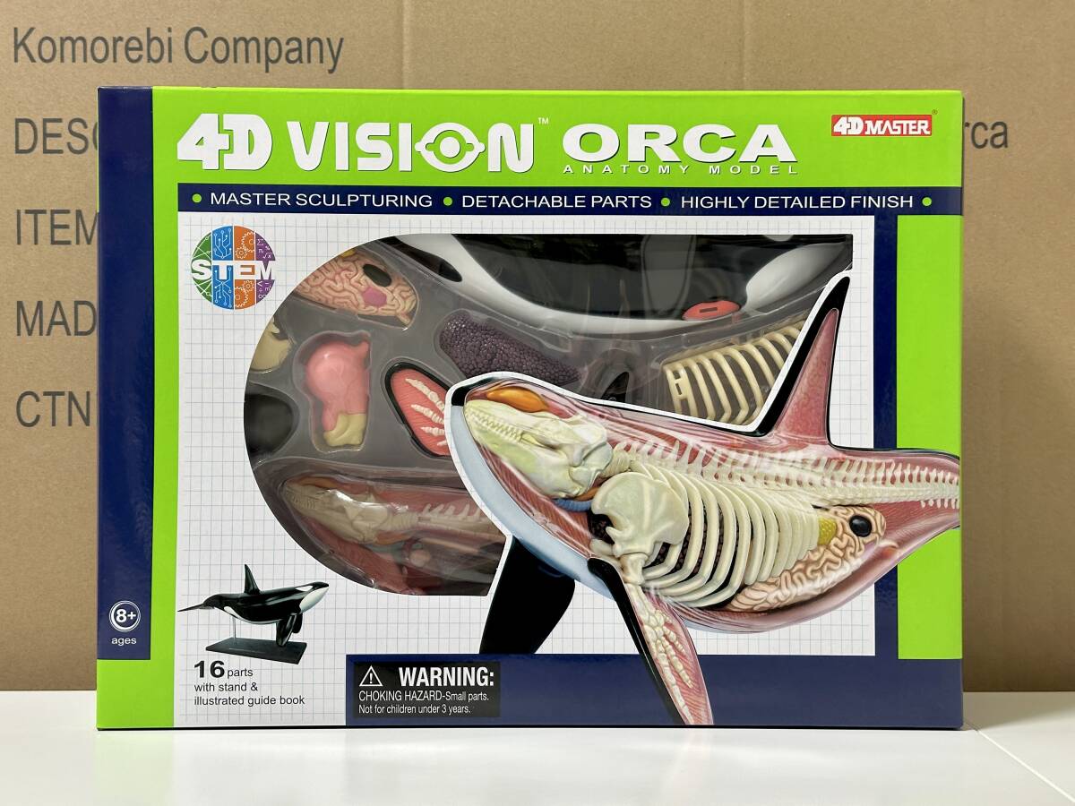 大特価 意味 新品未開封 4Dビジョン オルカ 解剖モデル 4D VISION Orca 立体パズル