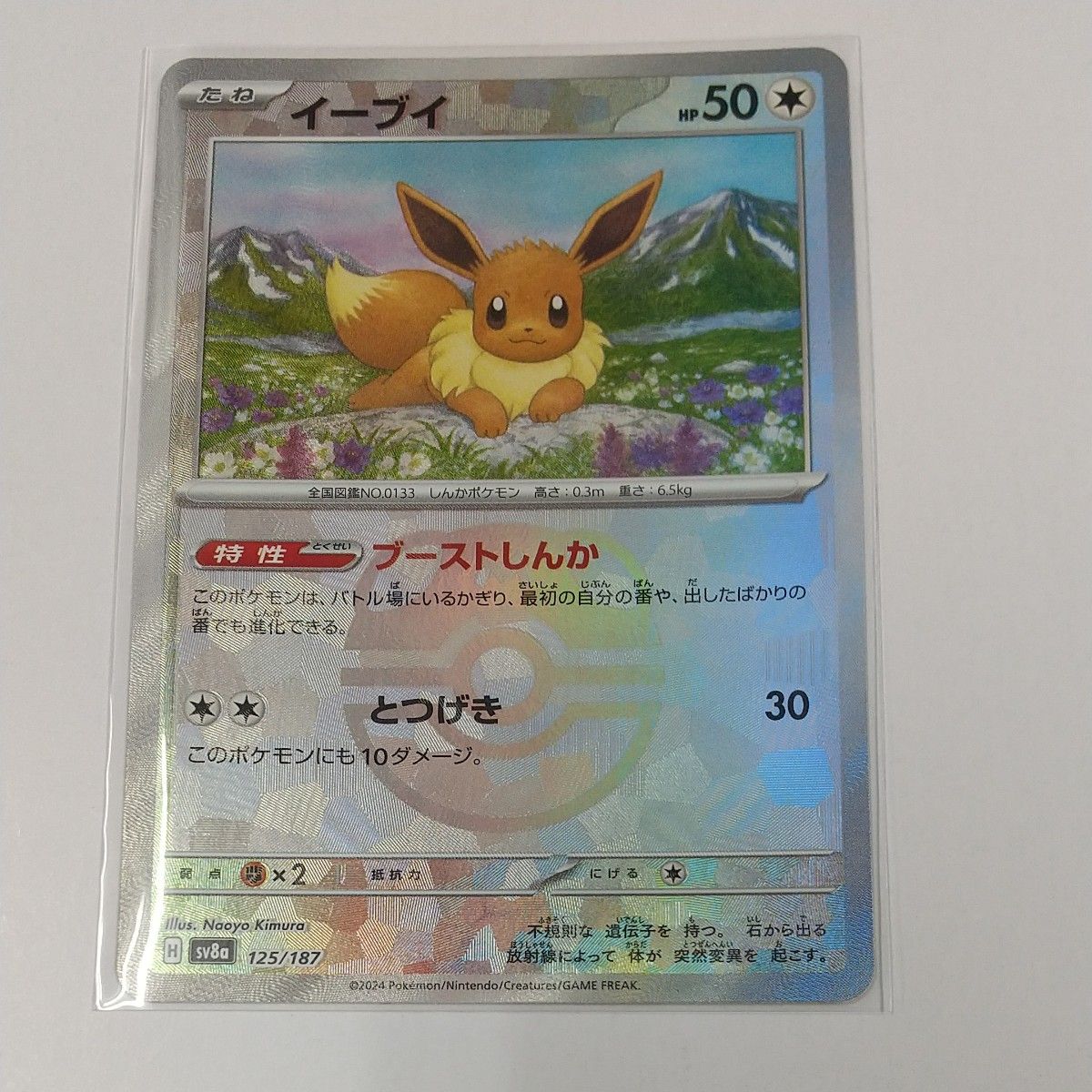 イーブイ マスターボール ポケモンカード テラスタルフェスex イーブイ マスターボール ポケモンカード テラスタルフェスex