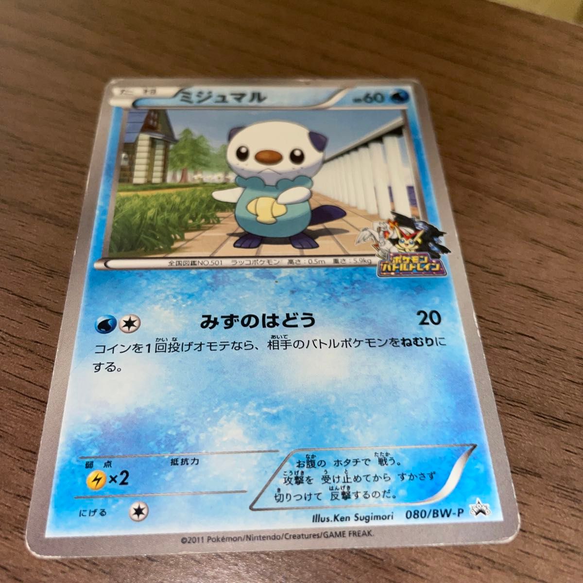 希少 ミジュマル ポケモンバトルトレイン ポケカ ポケモンカード 希少 ミジュマル ポケモンバトルトレイン ポケカ ポケモンカード