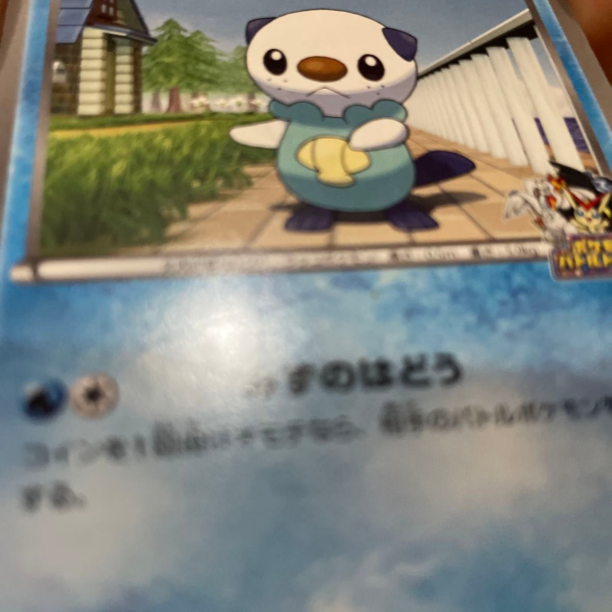 希少 ミジュマル ポケモンバトルトレイン ポケカ ポケモンカード 希少 ミジュマル ポケモンバトルトレイン ポケカ ポケモンカード