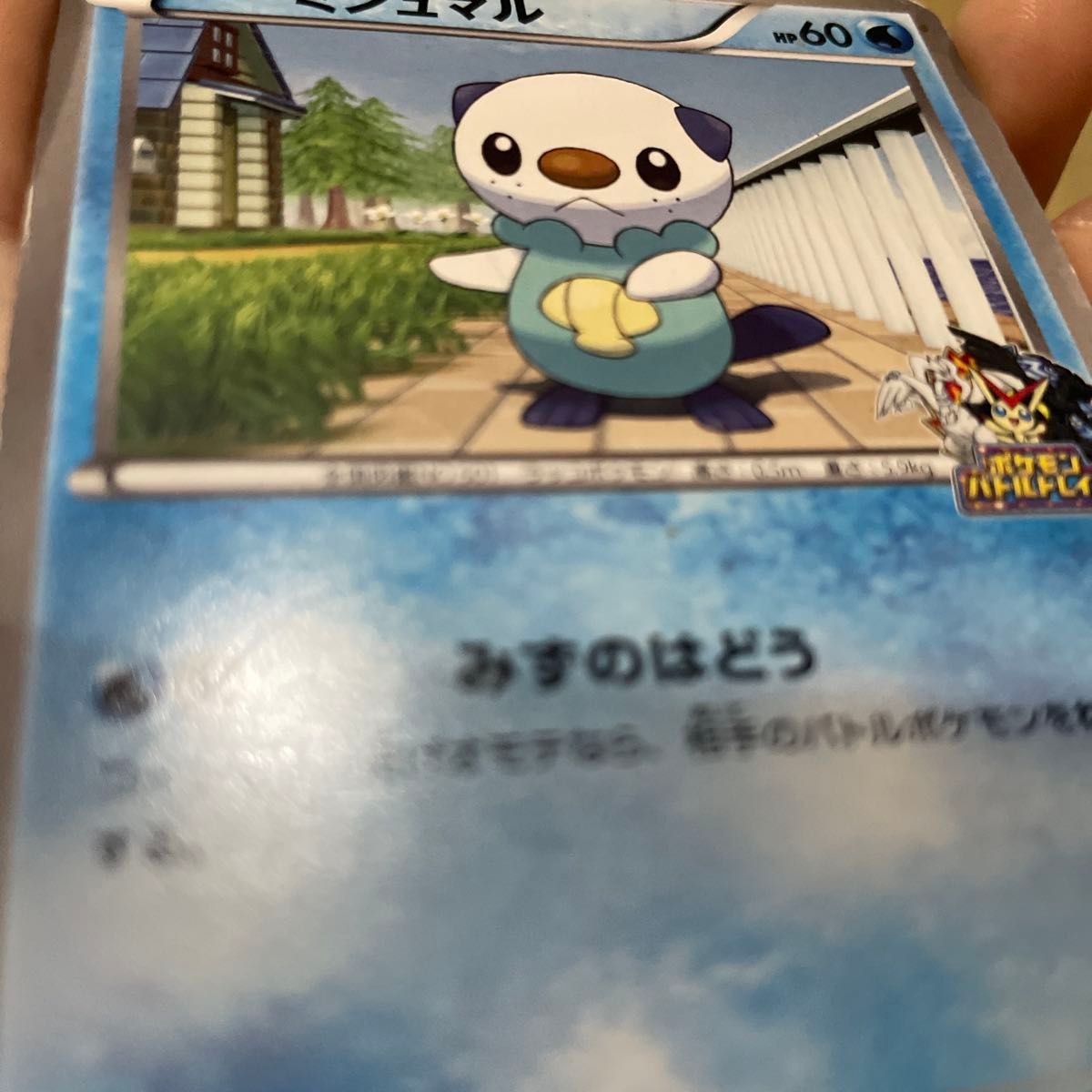 希少 ミジュマル ポケモンバトルトレイン ポケカ ポケモンカード 希少 ミジュマル ポケモンバトルトレイン ポケカ ポケモンカード