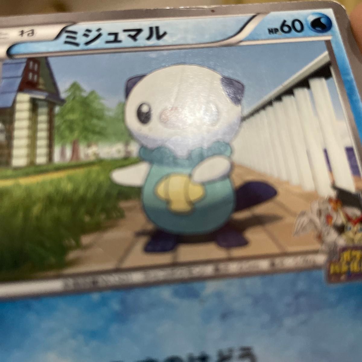 希少 ミジュマル ポケモンバトルトレイン ポケカ ポケモンカード 希少 ミジュマル ポケモンバトルトレイン ポケカ ポケモンカード