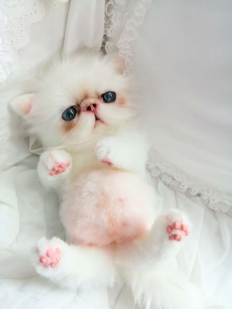 アートドール☆ぬいぐるみ☆お腹ぽっこり~エキゾチック子猫ちゃん☆大きいタイプ☆ハンドメイド(体長10cm - 30cm)|売買されたオークション情報、Yahoo!オークション(旧ヤフオク!) の商品情報をアーカイブ公開 - オークファン(aucfan.com) アートドール☆ぬいぐるみ☆お腹ぽっこり~エキゾチック子猫ちゃん☆大きいタイプ☆ハンドメイド(体長10cm - 30cm)|売買されたオークション情報、Yahoo!オークション(旧ヤフオク!) の商品情報をアーカイブ公開 - オークファン(aucfan.com)