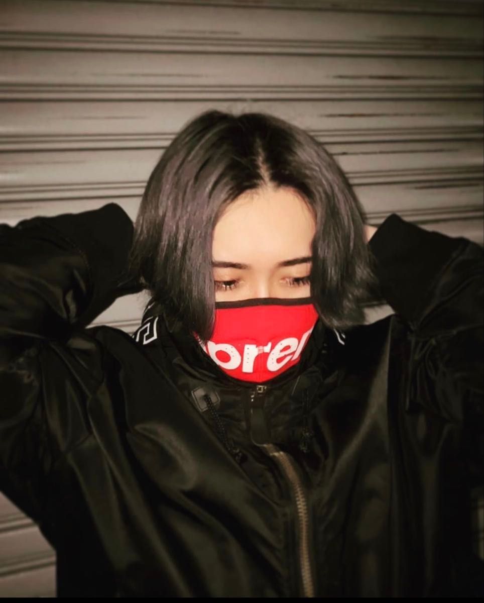Supreme WINDSTOPPER Facemask シュプリーム ウインドストッパー Supreme WINDSTOPPER Facemask シュプリーム ウインドストッパー