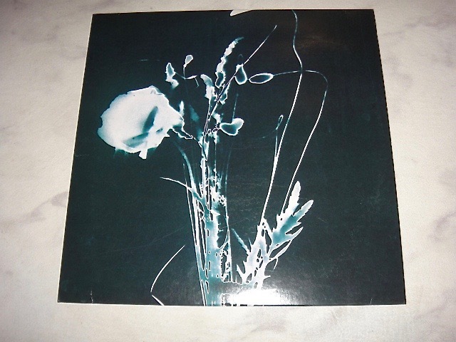 INORAN/アナログ レコード/想/LUNA SEA