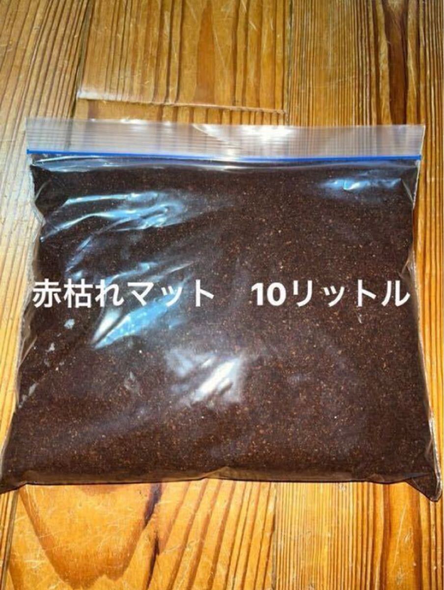 boxwater 15kg 鉱石パワーボール バクテリア定着 多孔性 吸水性 boxwater 15kg 鉱石パワーボール バクテリア定着 多孔性 吸水性