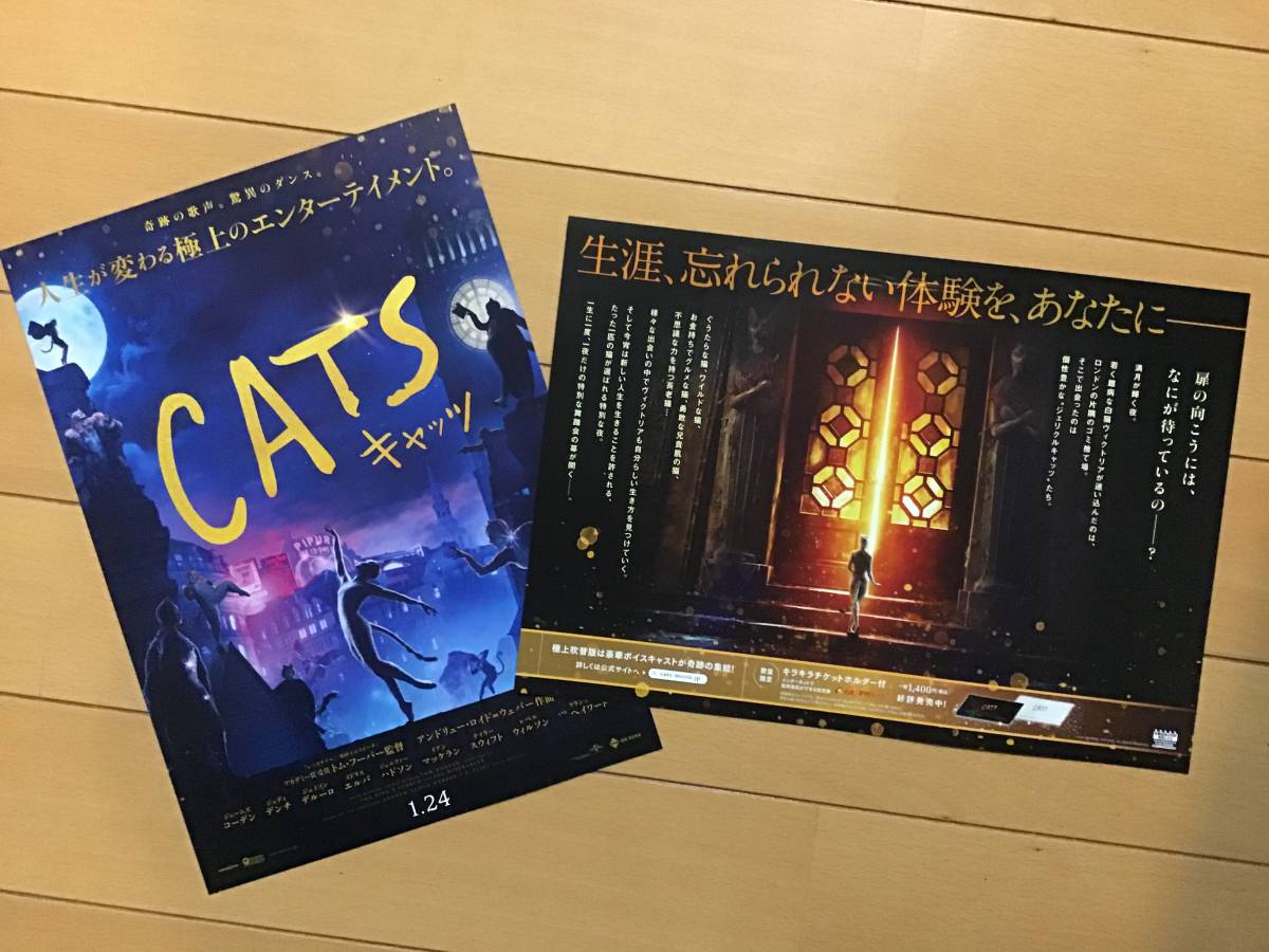  movie [CATSkiyatsu] photography version *B5 leaflet 2 sheets * new goods * not for sale.