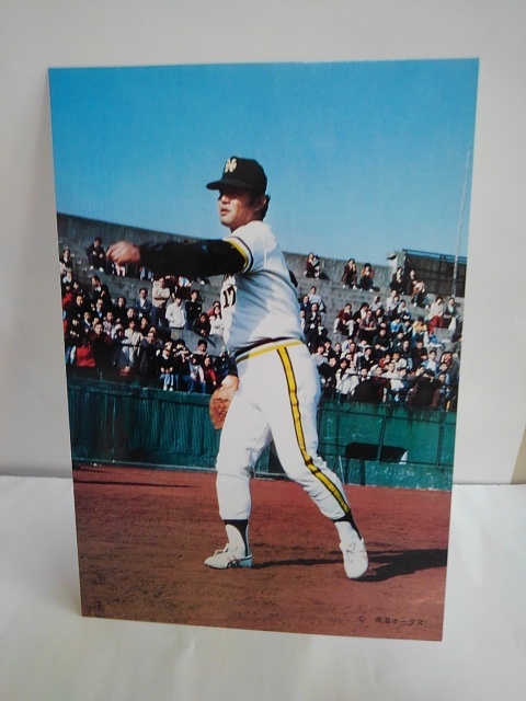 Yahoo!オークション - プロ野球 南海ホークス 江夏豊 大判サイズ Yahoo!オークション - プロ野球 南海ホークス 江夏豊 大判サイズ