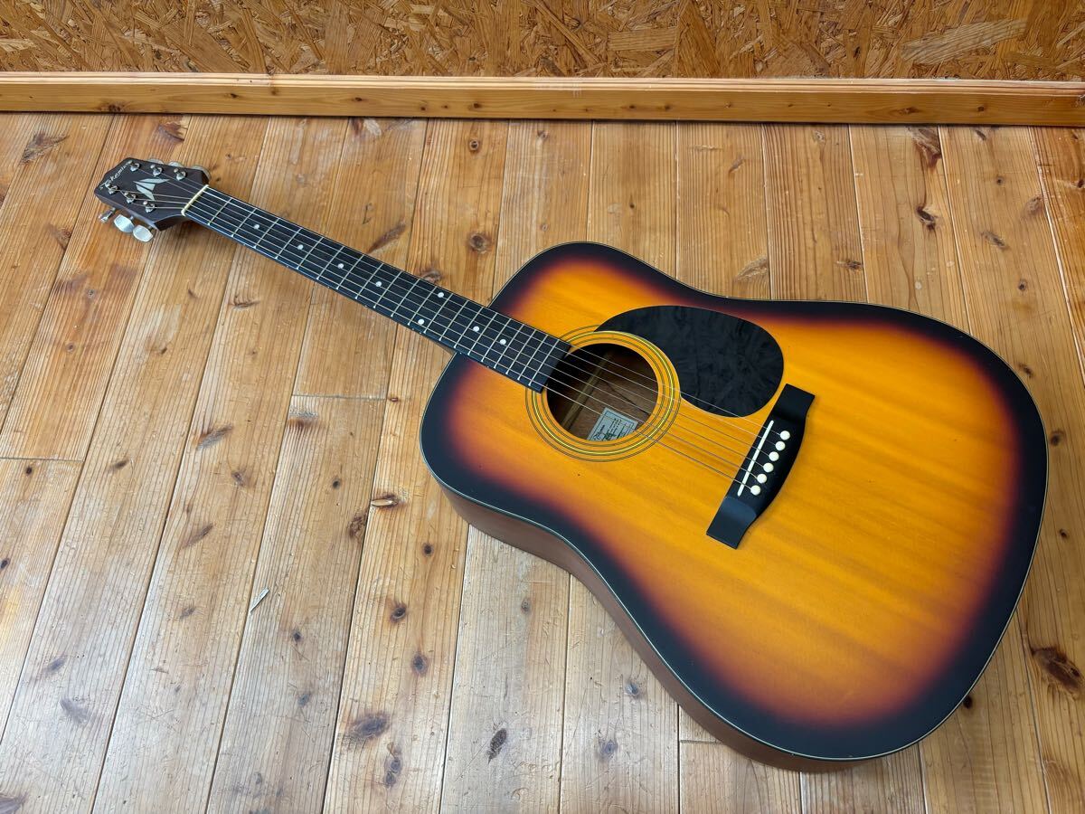 TAKAMINE T-1 SBS アコースティックギター タカミネ ソフト TAKAMINE T-1 SBS アコースティックギター タカミネ ソフト