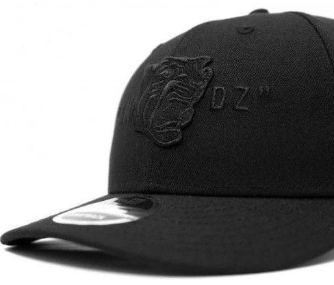 新品未使用 AH MURDERZ x阪神タイガース× NEW ERA LOWPROFILE 新品未使用 AH MURDERZ x阪神タイガース× NEW ERA LOWPROFILE