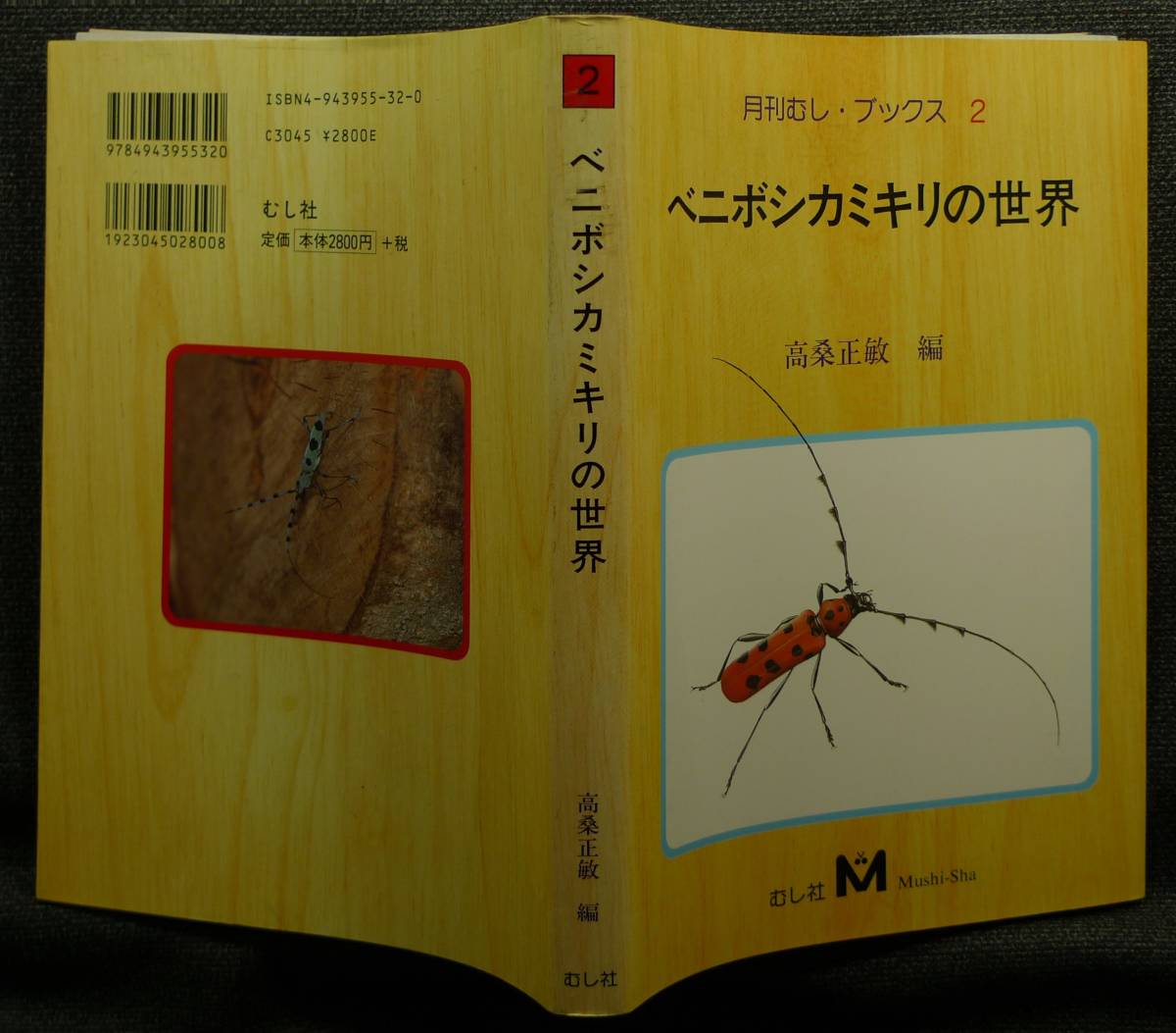 [ super rare ][ beautiful goods ] secondhand book red bo deer Miki li. world monthly ..* books 2 author : height mulberry regular ... company 