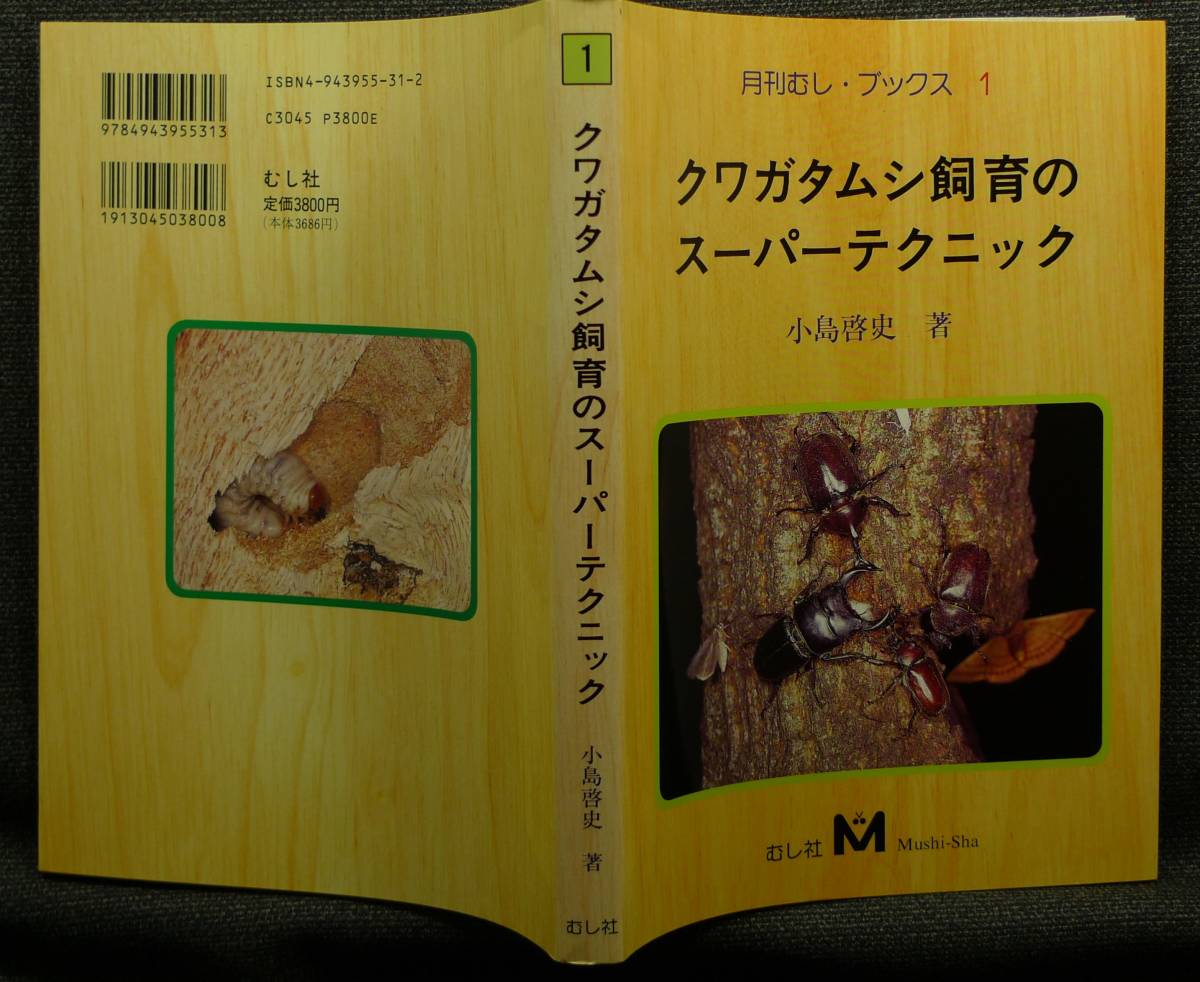 [ super rare ][ beautiful goods ] secondhand book stag beetle breeding. super technique monthly ..* books 1 author : small island . history .. company 