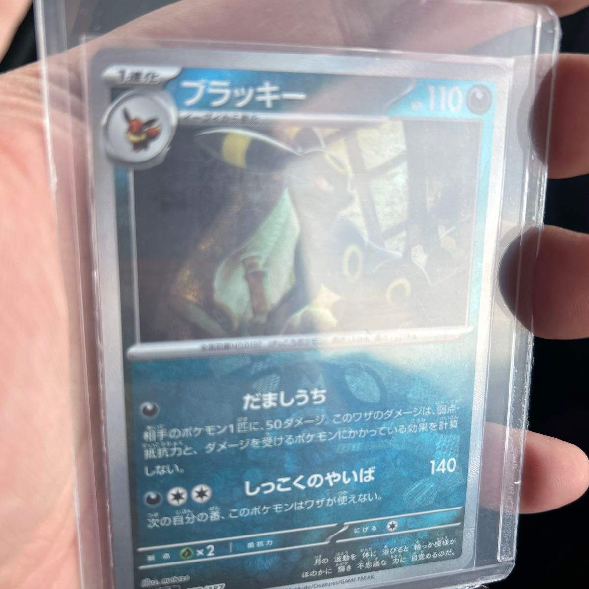 ポケモンカード マスボミラー ブラッキーマスボミラー sv8a ポケモンカード マスボミラー ブラッキーマスボミラー sv8a