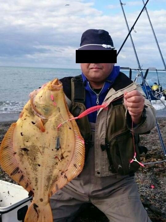 ヤフオク 投げ釣りこませネット仕掛け 2個一組 カレイ類