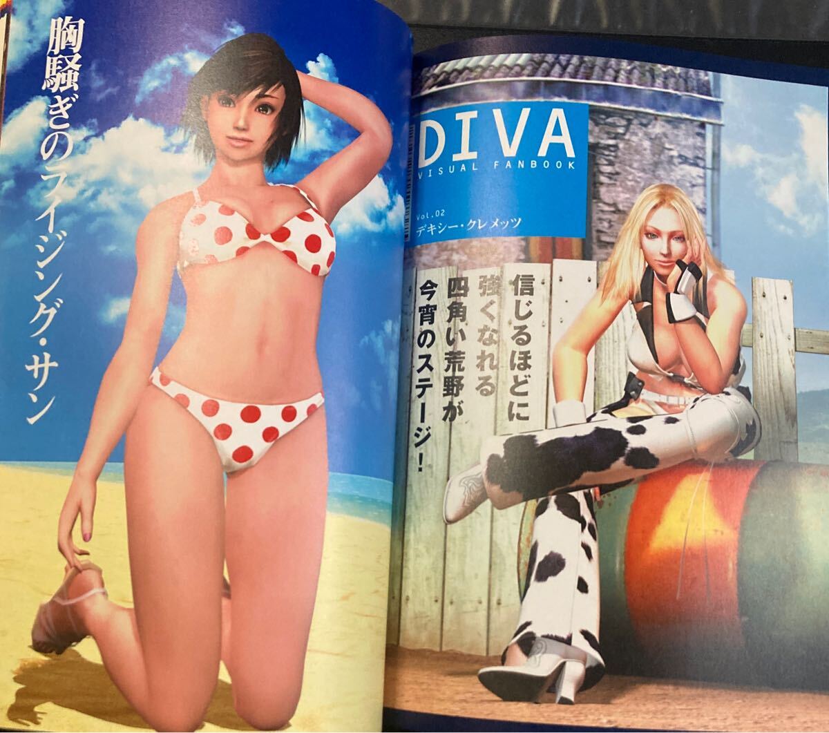 RUMBLE ROSES BEST SHOT』▽ PS2 女子プロレス・キャット RUMBLE ROSES BEST SHOT』▽ PS2 女子プロレス・キャット