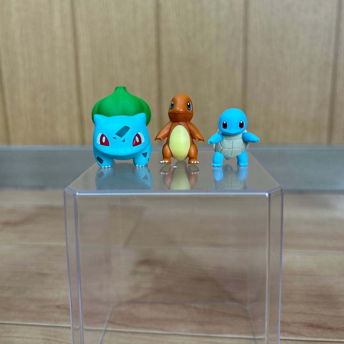 ポケモンスケールワールド フシギダネ ヒトカゲ ゼニガメ ポケモンスケールワールド フシギダネ ヒトカゲ ゼニガメ
