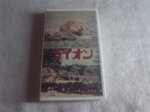 [VHS] ディズニー 百獣の王　ライオン セル版_画像1