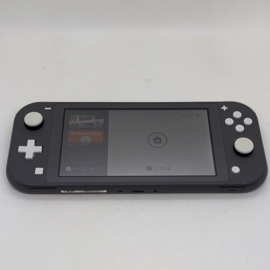 Nintendo Switch Lite グレー 2019年製 本体 動作確認済み Nintendo Switch Lite グレー 2019年製 本体 動作確認済み
