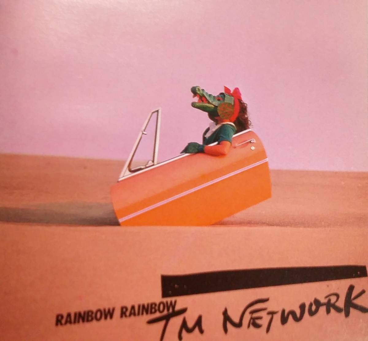 RAINBOW RAINBOW　/　TM NETWORK デビュー ファースト 1stアルバム 小室哲哉 宇都宮隆 木根尚登　 1974 金曜日のライオン 収録_画像3
