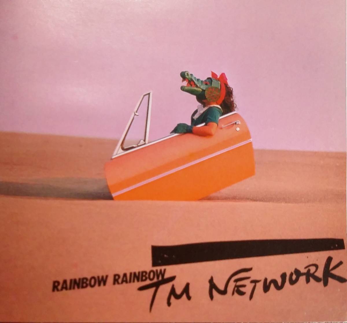 RAINBOW RAINBOW　/　TM NETWORK デビュー ファースト 1stアルバム 小室哲哉 宇都宮隆 木根尚登　 1974 金曜日のライオン 収録_画像6