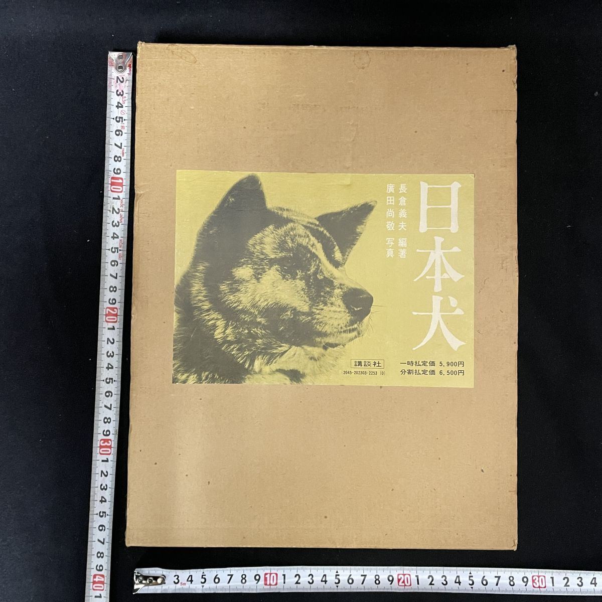Bibian 比比昂- 8b169 希少日本犬長倉義夫廣田尚敬昭和47年 Bibian 比比昂- 8b169 希少日本犬長倉義夫廣田尚敬昭和47年