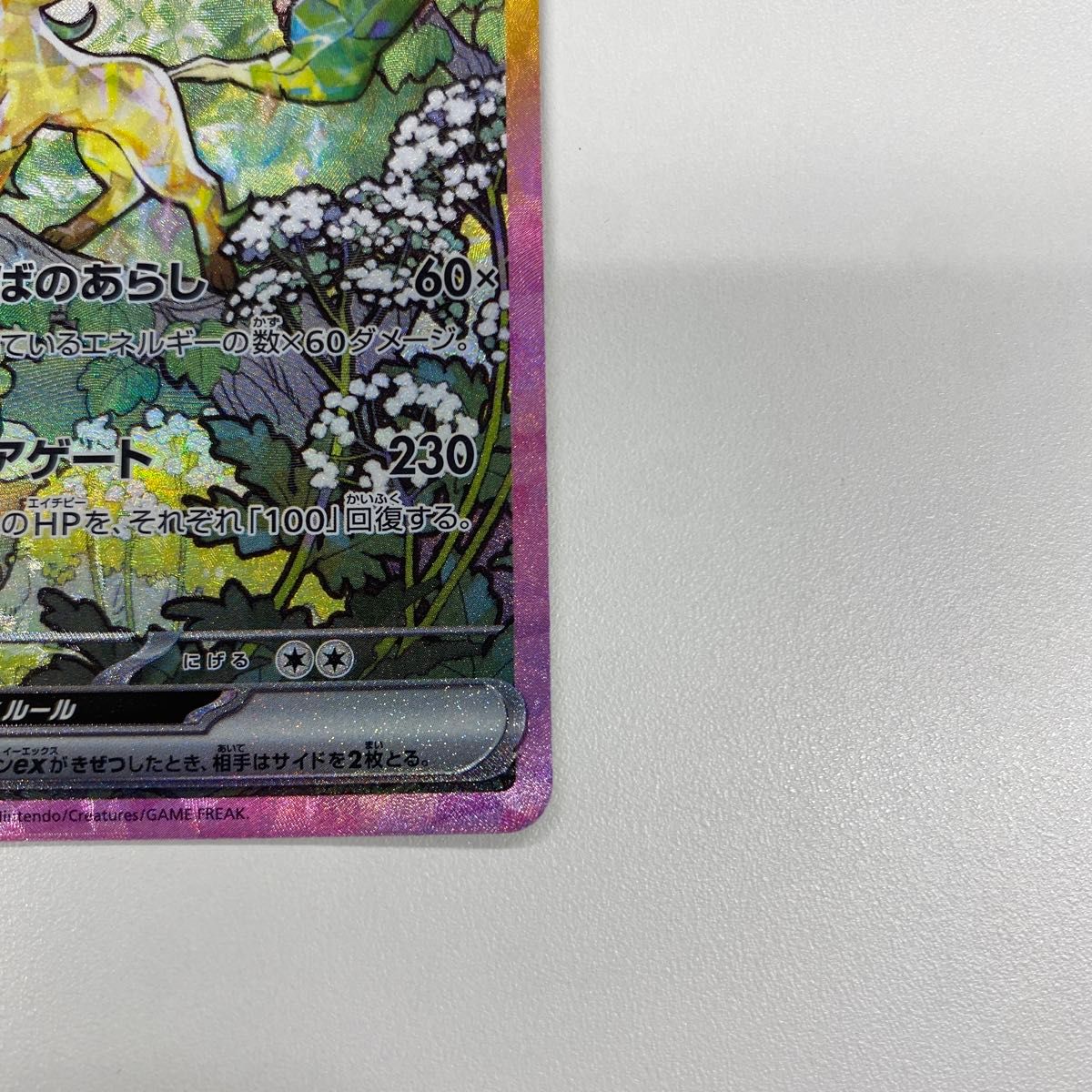 ポケモンカード テラスタルフェスex リーフィアex SAR|Yahoo ポケモンカード テラスタルフェスex リーフィアex SAR|Yahoo